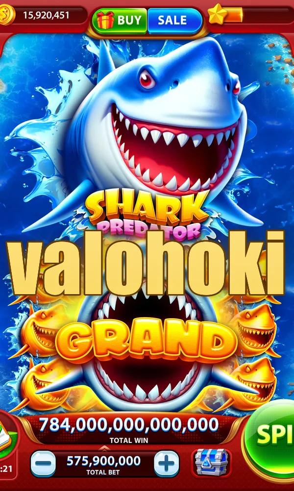 valohoki Akses